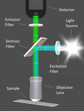Example of an optical filter