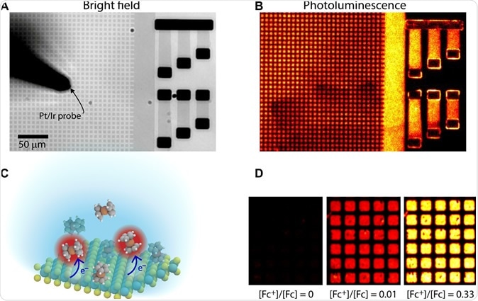 Fig. 1 MoS2 PL response due to a change in [Fc+]/[Fc] ratio. (A) Bright-field transmitted light optical image of a MoS2 pixel array consisting of 5 μm × 5 μm MoS2 squares and Ti/Au contacted devices. The Pt/Ir electrode used to contact devices and oxidize the ferrocene molecules is shown in the middle of the image. (B) PL image of the same region in (A) excited by the 546-nm peak of a mercury lamp and imaged with a filter centered at 650 nm. The image shown is taken with a 2-s integration time. (C) Schematic of the charge transfer between ferrocene molecules and MoS2. The red shade represents positively charged ferrocene molecules (ferrocenium). (D) PL of MoS2 pixels varying the relative concentrations of ferrocene and ferrocenium.