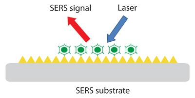 doble vertical Error The Development of SERS Substrates for Raman Spectroscopy