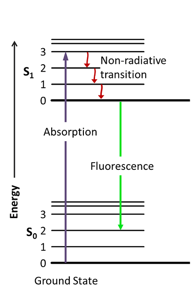 A diagram illustrating the mechanism of fluorescence - photon absorption causes an excitation, which is then followed by non-radiative (kinetic) and radiative (fluorescence) relaxations.