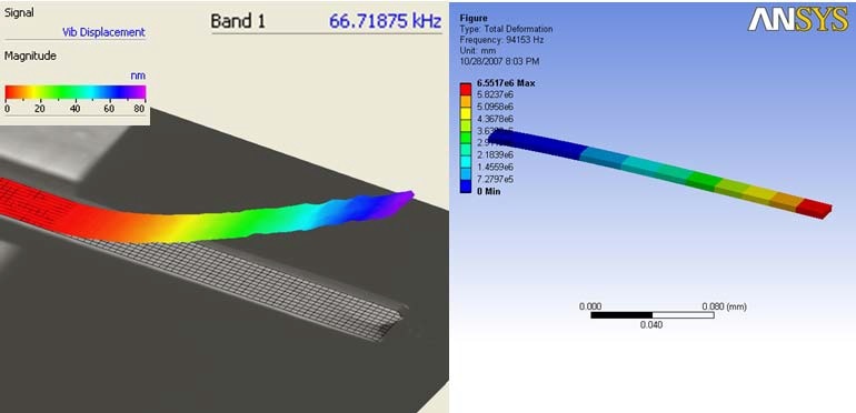 Comparison of cantilever first bending mode determined experimentally (left) and from FE model (right)