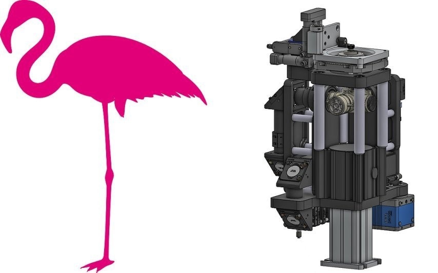 This illustration of a compact Flamingo light sheet microscope (right) with L-SPIM configuration (see text) is reminiscent of the one-legged sleeping bird. (Image: Image: Morgridge Institute for Research, Madison, WI)