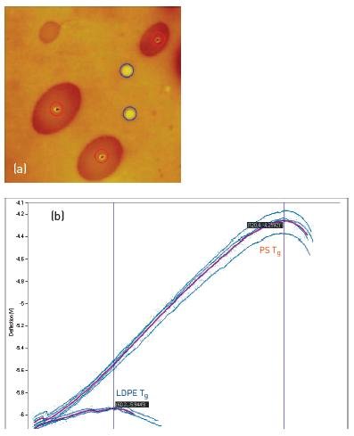 (a) 4µm x 4µm TappingMode AFM image of a polystyrene - low-densitypolyethylene (PS-LDPE) blend. The red and blue circles highlight the location utilized for VITA measurements in the PS domains and LDPE matrix, respectively. (b) VITA nTA measurements showing reproducibly the PS glass transition temperature inside the domains and the LDPE melting transition in the matrix, thus identifying the component distribution unambiguously.