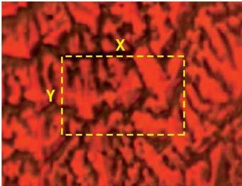 This video image of the same sample in figures 3-6 shows how the programmable sample stage can be used to determine the X-Y extent of a 3D map.