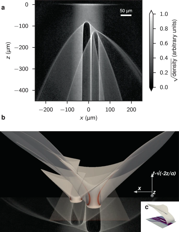 Caustic networks from two repulsive potentials in an atom laser. (a) Experimental data averaged over 15 runs. The atom laser propagates from top (z = 0) to bottom. Each barrier is Gaussian-shaped with U0/kB = 23.1 µK and s = 10.3 µm. The left barrier is positioned h = 85 µm below the injection point of the atoms (e = 0.95). The right barrier is offset from this by (?x, ?z) = (39, -42) µm (e = 0.64). (b) A numerical rendering of the classical trajectories as a sheet (xi, ti) ? (x, z, ti - v-2z/az), the singularities of which appear as caustics when projected down into the (x, z) imaging plane where the experimental data is shown again. Here, t is the vertical direction, while x increases to the left, and z decreases into the image. Red shading denotes regions where detJ-1 is large, corresponding to the caustics when projected onto the imaging plane. (c) A numerical rendering of the classical trajectories as a sheet (xi, ti) ? (x, z, ti), which now includes the free-fall background