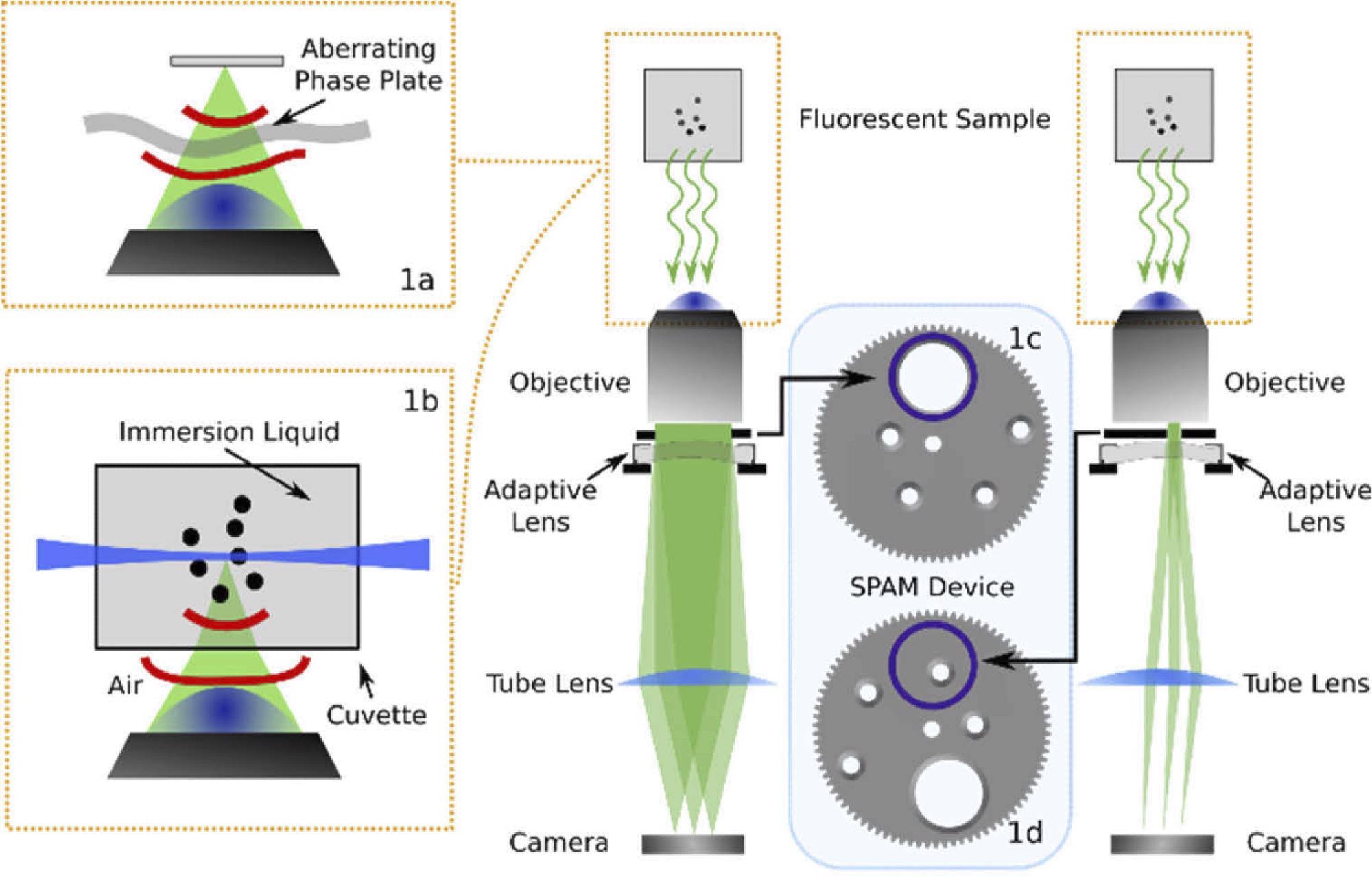 Optical layout of the imaging system used in this experiment including the SPAM module in combination with an adaptive lens. The diagram shows the SPAM module in the full pupil position (c) and in the sub-pupil position (d). The microscope has been used in widefield (a) and light sheet microscopy (b) configurations, as illustrated in the insets.