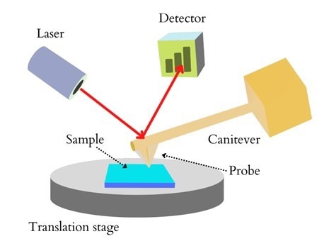 Schematic diagram of an AFM