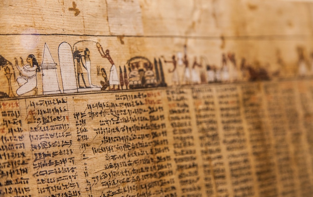 Ancient Egyptian Papyrus, Egyptian papyrus analysis