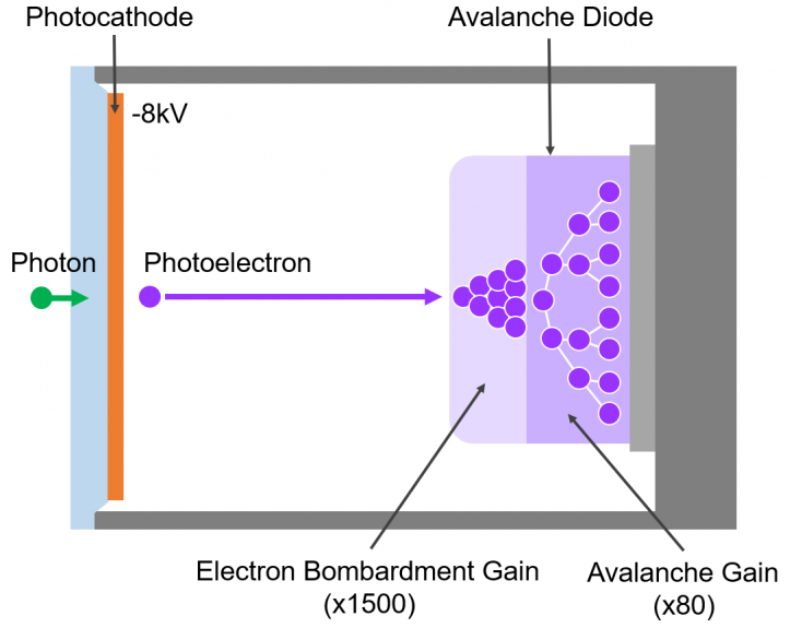 Operating Principle of the HS-HPD. The first stage operates like a photomultiplier tube where photons are converted to photoelectrons by the photocathode and the photoelectrons are accelerated by a voltage difference. In the second stage, the photoelectrons strike the avalanche diode where they are multiplied in a two-step gain process to create the electrical pulse for photon counting.