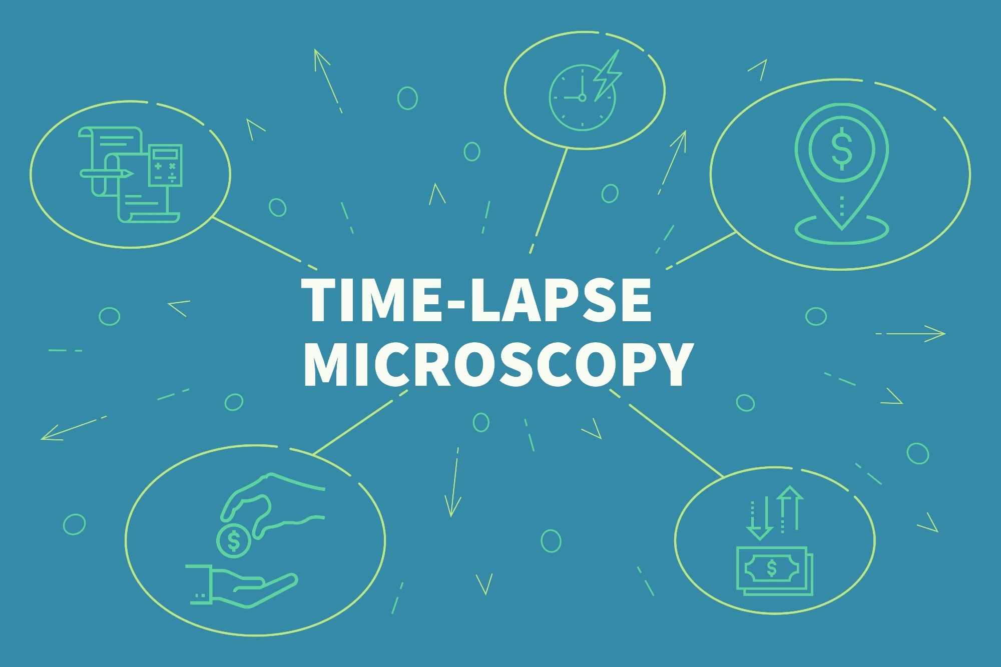 Time-Lapse Microscopy, Time-Lapse Microscopy in Cell Biology