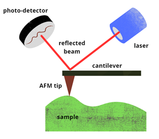 The Impact of Atomic Force Microscopy on Biomedical Research