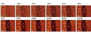 Comparison of confocal Raman images acquired with different settings of the EMCCD gain.
