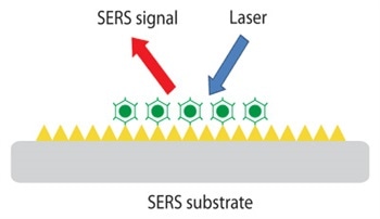 The Development of SERS Substrates for Raman Spectroscopy