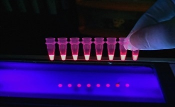 An Introduction to Fluorescence Spectroscopy
