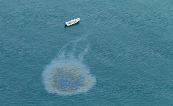 Novel Photonics Technologies for Detecting Oil Spills