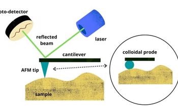 Examining Mineral Flotation with Atomic Force Microscopy