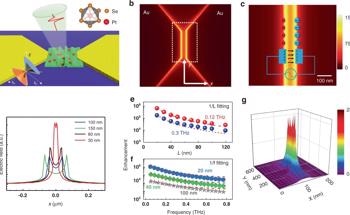 Topological Semimetal Based Photodetector for High-Speed and Low-Energy Photon Harvesting