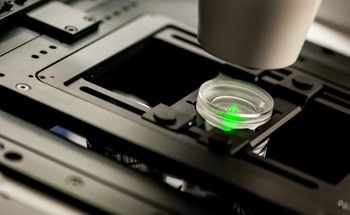 How Do Fluorescent Microscopes Work?