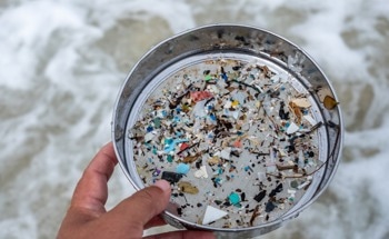 How is Mass Spectrometry Used in Microplastic Pollution Research?