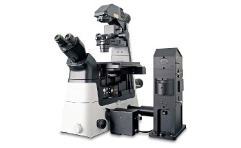 alpha300 Ri: An Inverted Raman Imaging Microscope from WITec