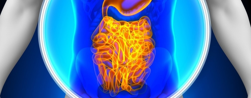 How are X-Ray and Photoacoustic Imaging used in Gut Analysis?