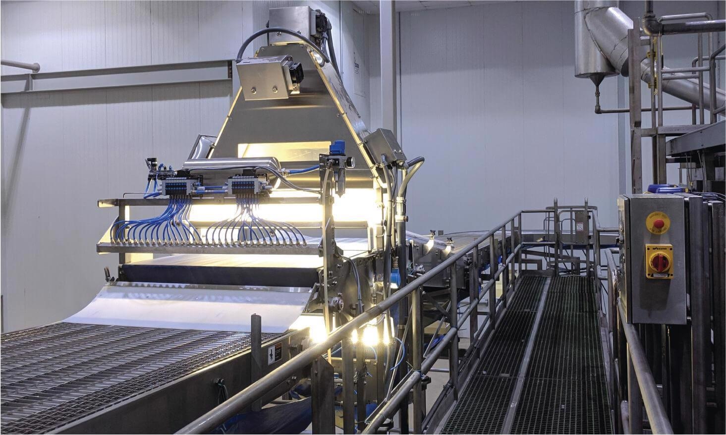 In-Line Vision Systems for Food Manufacturers