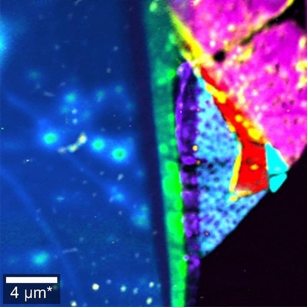Raman image of a MoS2/WSe2 heterostructure recorded at 2K. The colors represent different layer numbers, compositions and orientations.