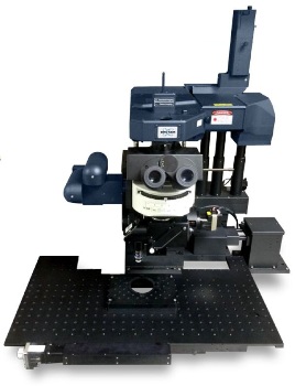 Ultima Multiphoton Microscope System from Bruker