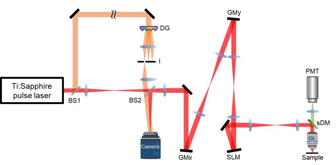 The schematic of the reflection-matrix microscope that was developed by researchers at the IBS Molecular Spectroscopy and Dynamics Research Center.