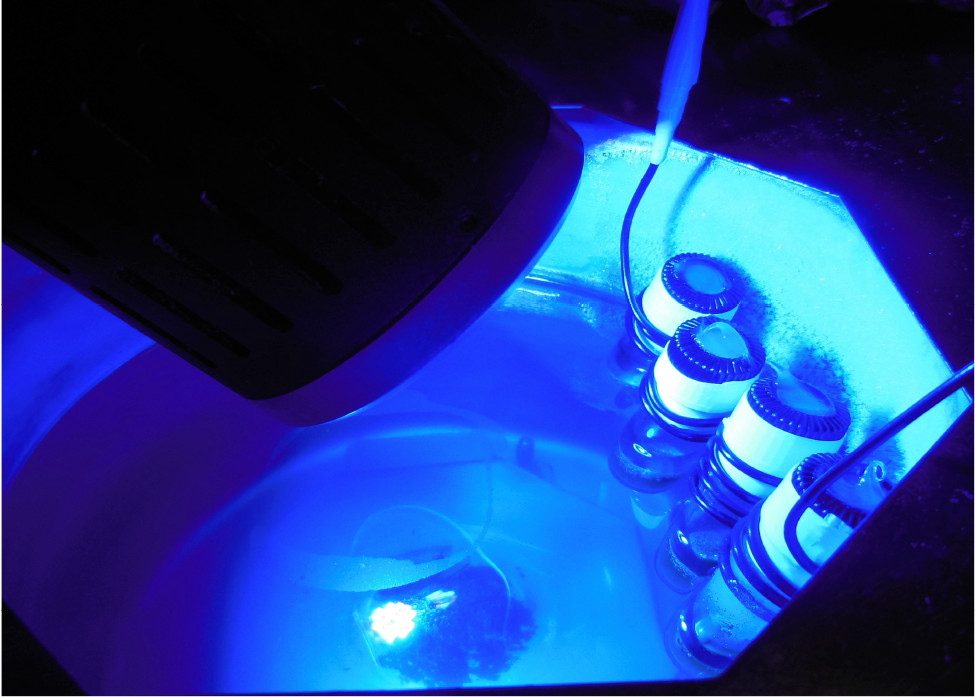 Blue LEDs Find Use in Pharmaceutical, Photoelectronic Development.