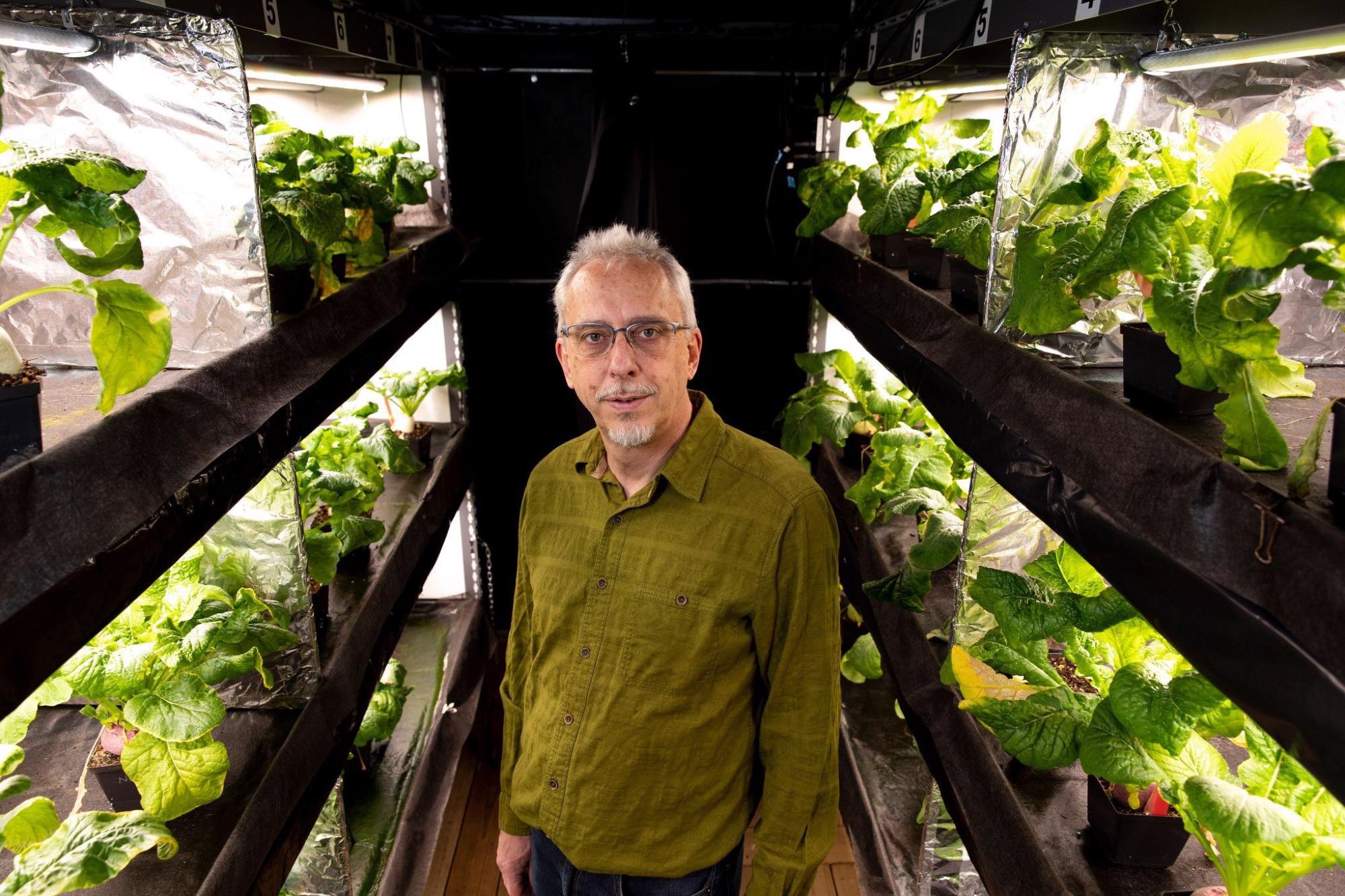 Marc Van Iersel among turnip plants in a grow room at his greenhouses.