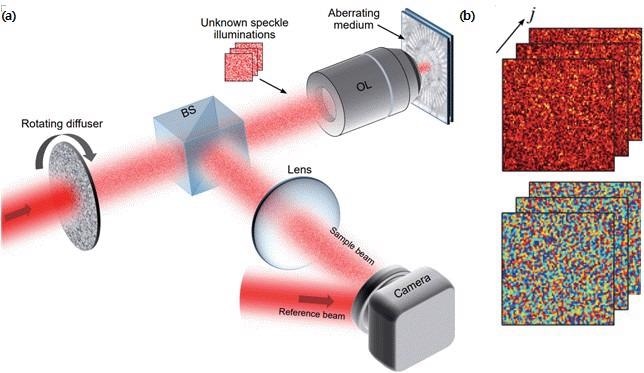 Novel Microscope Offers High-Throughput 3D Adaptive Optical Imaging