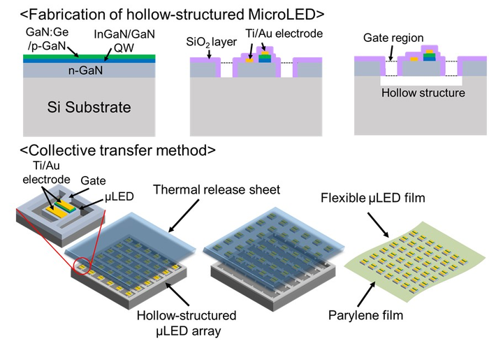 New MicroLED Array Film to Cover the Brain and Illuminate its Specific Regions.