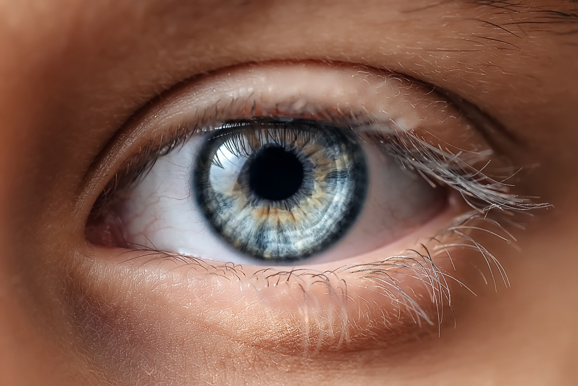 New Approach to Visualizing the Optical Performance of the Human Eye
