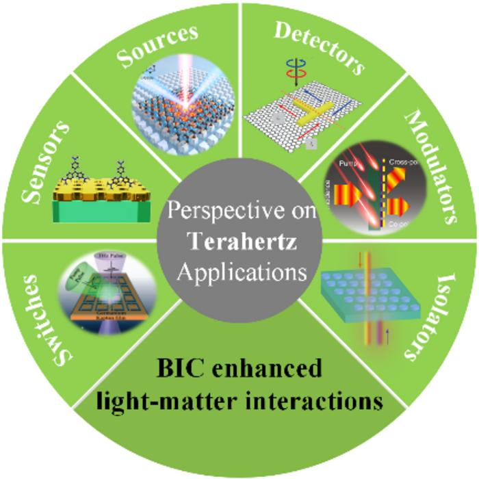 Analyzing the Perspective of BICs on Terahertz Photonics
