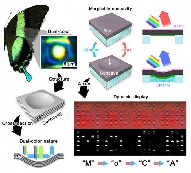 A Promising New Material for Optical Devices and Wearable Technology