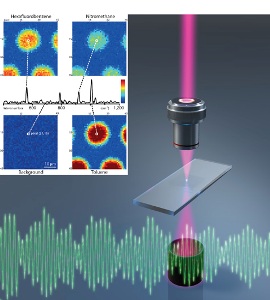 Coherent Raman Spectroscopy with Two Laser Frequency Combs Enables Rapid Identification of Complex Molecules