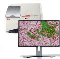 Leica Introduce New Image Analysis System for Discovery Research