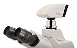 Two New Cameras for Routine Imaging Applications from Leica Microsystems