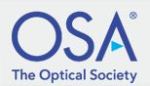New Optics and the Brain Topical Meeting Announced by the OSA