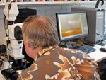 Nikon Metrology Stereoscopic Microscope Helps Renowned Architect take Photomicrographs for Stunning Art
