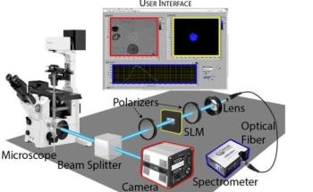 Researchers Use New Tool to Observe Spectrum of Light that Comes from Part of Sample on Microscope
