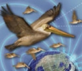 The Relationship Between Migratory Birds, Light and Earth's Magnetic Field
