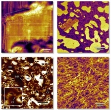 Upcoming Asylum Research Webinar “Probing Nanoscale Structure & Properties  of Polymers: Advances in Atomic Force Microscopy,” October 16, 2019