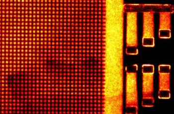 Real-Time Molecular Imaging Using Photoluminescent MoS2 Pixel Arrays