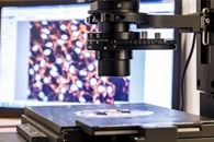 Modified Version of Two-Photon Microscopy Rapidly Makes Finer Images of Deeper Tissue