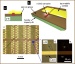 Fabrication Technique Suitable for High-Volume Commercial Production of Photonic Circuits