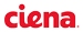 Ciena Now Focuses on Converged Optical Ethernet Solution