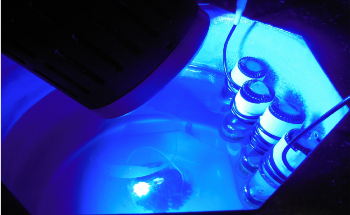 Blue LEDs Find Potential Use in Pharmaceutical and Photoelectronic Development