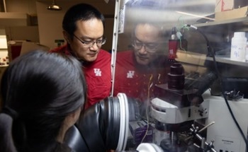 New RIM Method Offers Insights for the Next Generation of Batteries